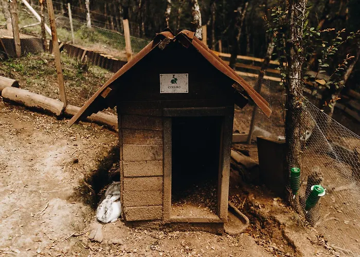 Floresta Secreta- Pousada Cachoeira da Neve